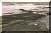 Img3091.jpg (66776 byte)