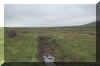 Img5011.jpg (38611 byte)