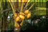 mau0008.jpg (101350 byte)