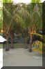 mau0009.jpg (127261 byte)