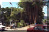 mau2051.jpg (139645 byte)