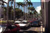 mau2054.jpg (121087 byte)